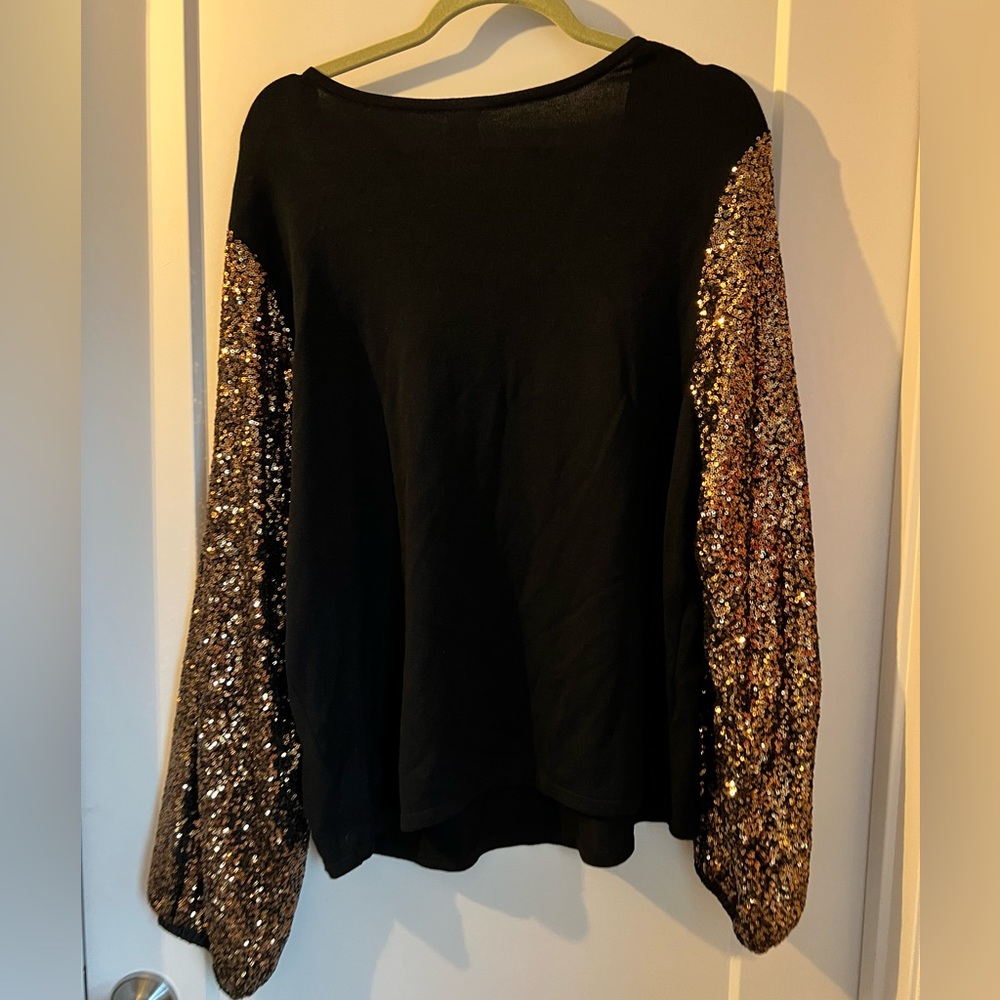 Anthropologie Bl-nk Sequin Sleeve Sweater 3x